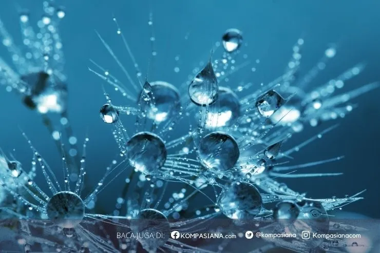 Menghargai Tradisi dengan Pelayanan Modern di TB Gelora Kroya
